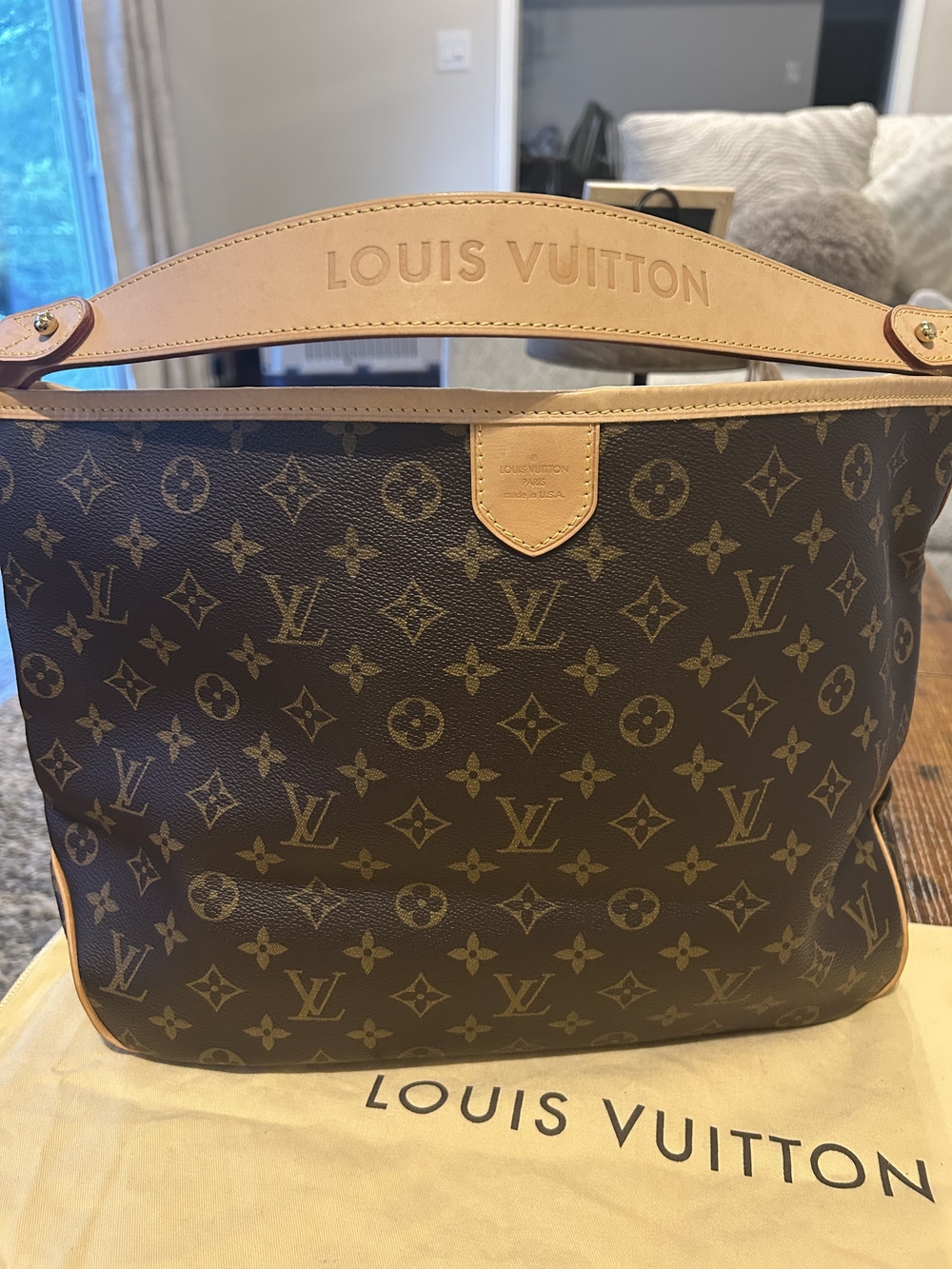 Louis Vuitton Monogram Canvas Shoulder Hobo in Brown and Natural